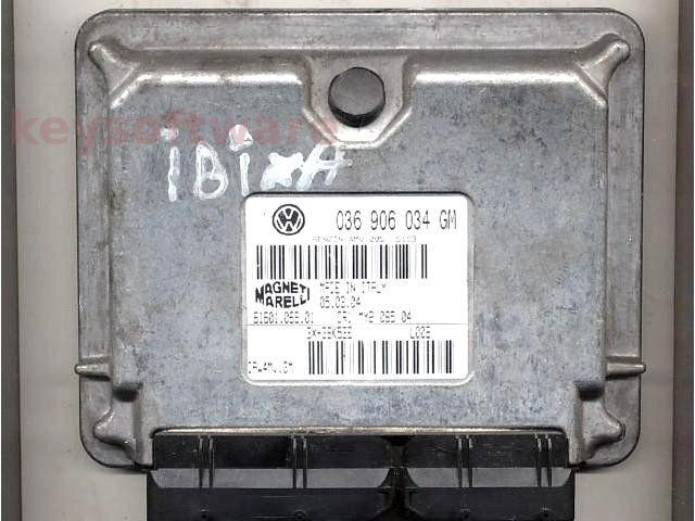 Defecte Ecu Seat Ibiza 1.4 036906034GM IAW 4MV.GM BBY