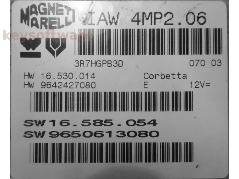 ECU Peugeot 307 2.0 9650613080 IAW 4MP2.06 {