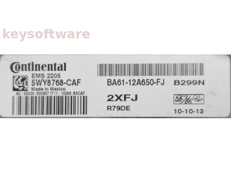 ECU Ford Fiesta 1.6 BA61-12A650-FJ 5WY8768CAF EMS2205 {