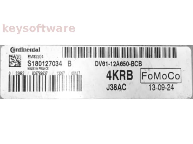 ECU Ford Focus 1.6 DV61-12A650-BCB S180127034B EMS2204 {