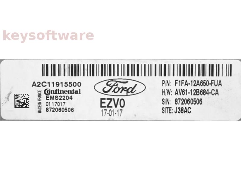 ECU Ford Focus 1.6 F1FA-12A650-FUA A2C11915500 EMS2204 {