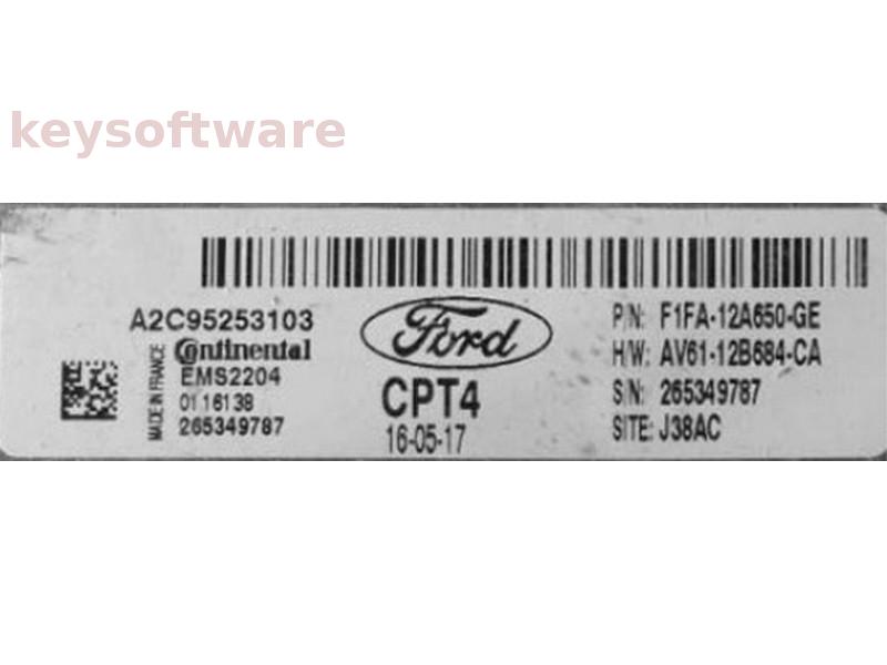 ECU Ford Focus 1.6 F1FA-12A650-GE A2C95253103 EMS2204 {
