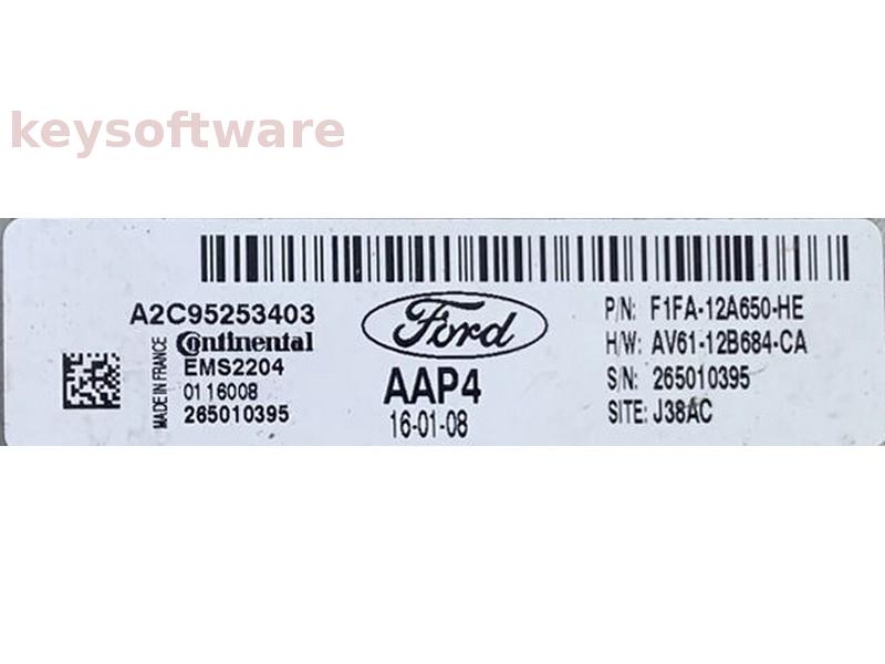 ECU Ford Focus 1.6 F1FA-12A650-HE A2C95253403 EMS2204 {