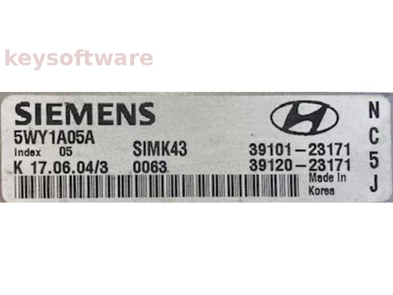 ECU Hyundai Elantra 39101-23171 5WY1A054 SIMK43 {