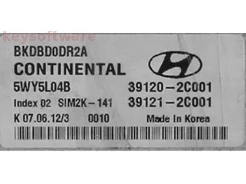 ECU Hyundai Coupe 3.8 39120-2C001 5WY5L04B SIM2K-141 {
