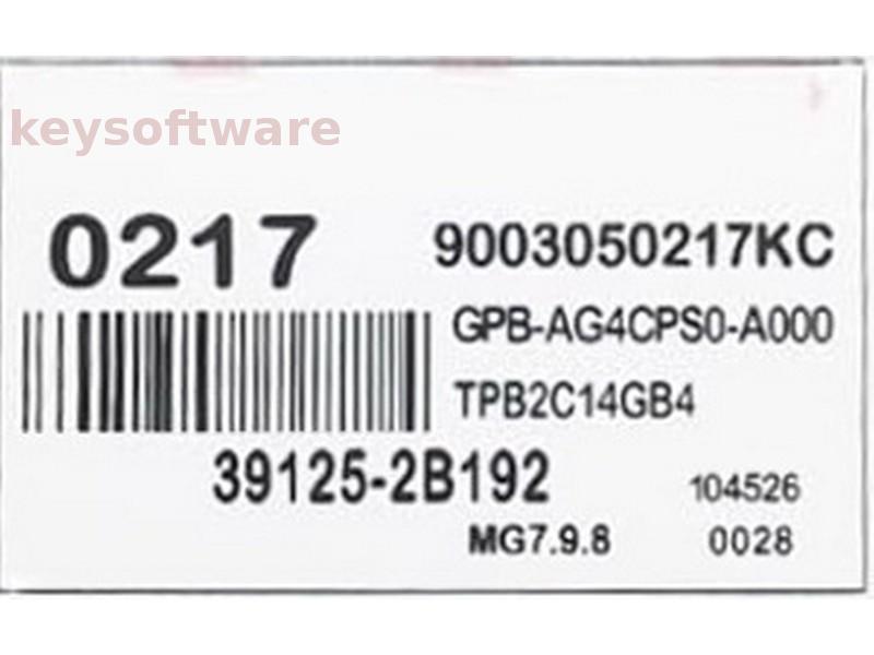ECU Hyundai 39125-2B192 9003050217KC MG7.9.8 {