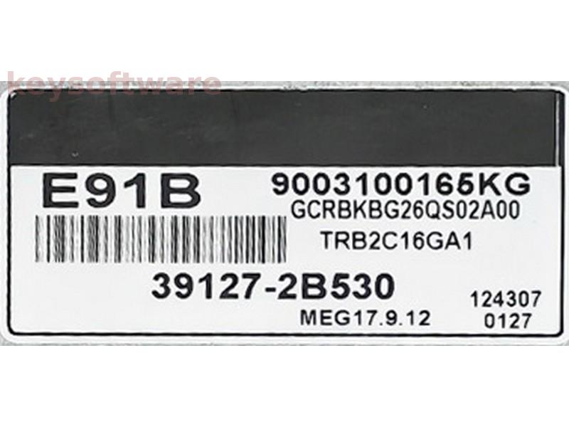 ECU Hyundai Accent 1.4 39127-2B530 9003100165KG MEG17.9.12 {