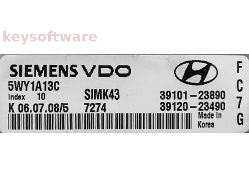 ECU Hyundai Coupe 2.0 39101-23890 5WY1A13C SIMK43 {