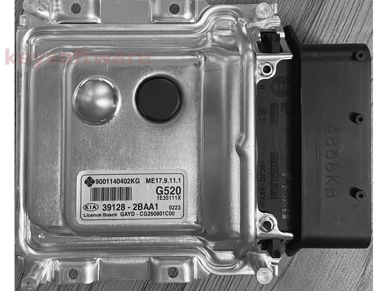 ECU Kia Rio 1.2 39128-2BAA1 9001140402KG ME17.9.11.1 {