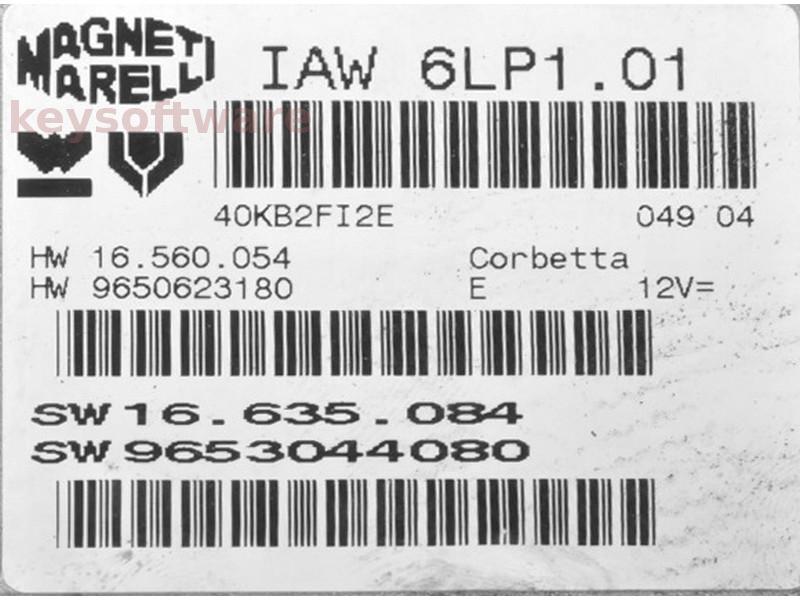 ECU Peugeot 307 2.0 9650623180 9653044080 IAW 6LP1.01